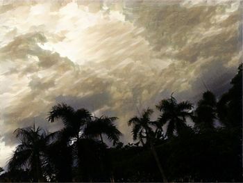 Low angle view of silhouette trees against sky