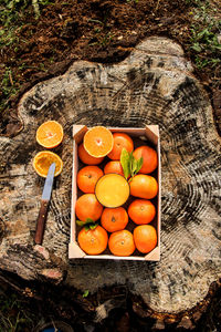 High angle view of orange fruits on wood