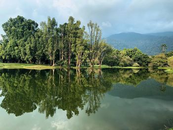 Reflection of trees in lake against sky