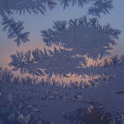 Silhouette trees against sky during winter