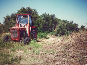 Trees on grassy field
