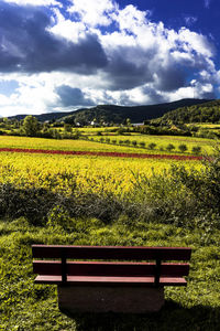 Scenic view of field against sky