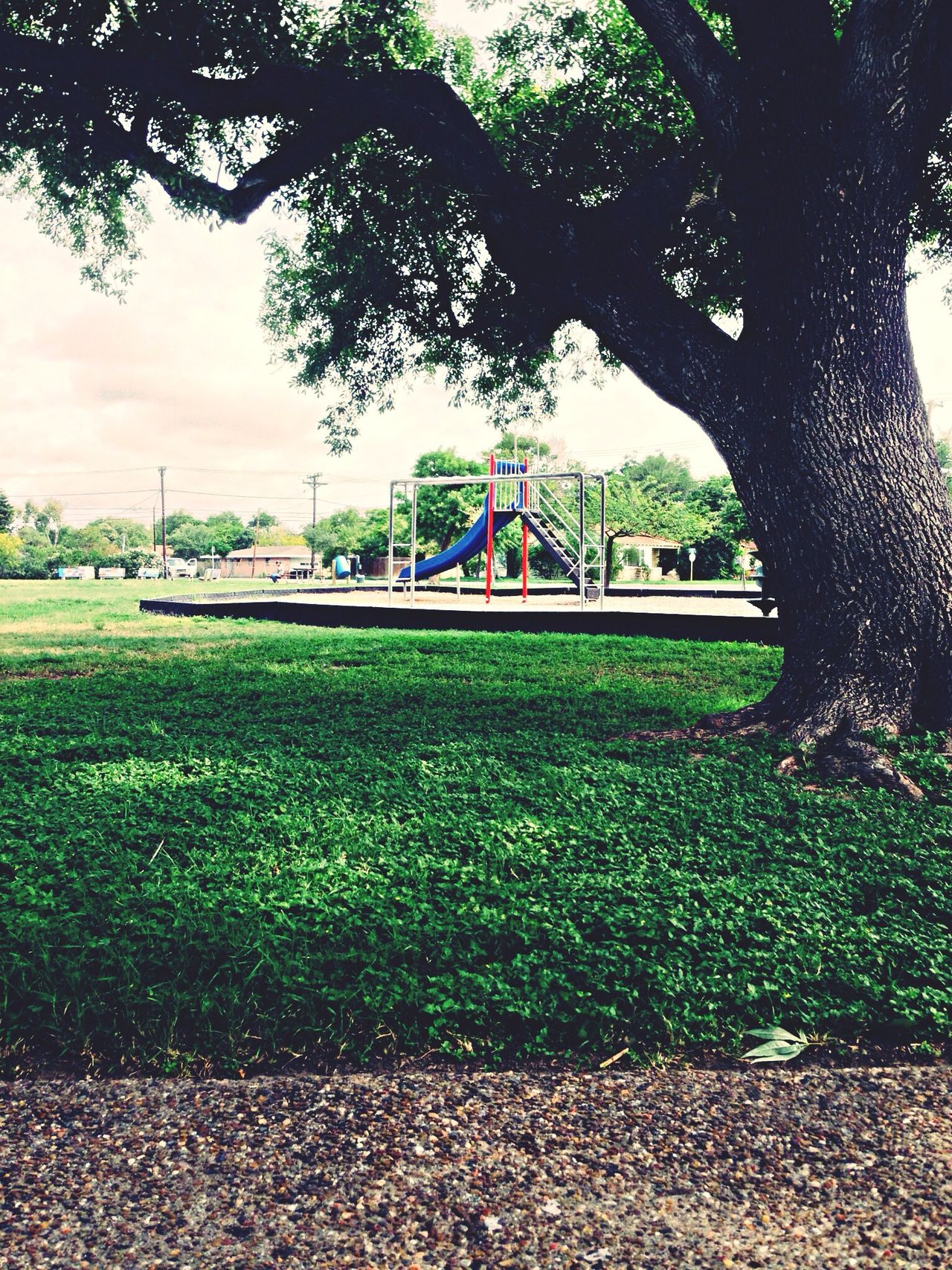 Lindale Park