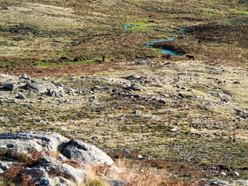 High angle view of water flowing through rocks