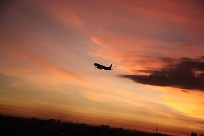 Silhouette bird flying against sky during sunset