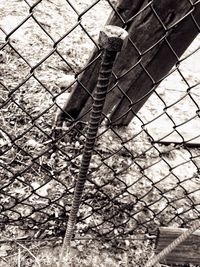 View of chainlink fence