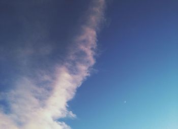 Low angle view of trees against blue sky