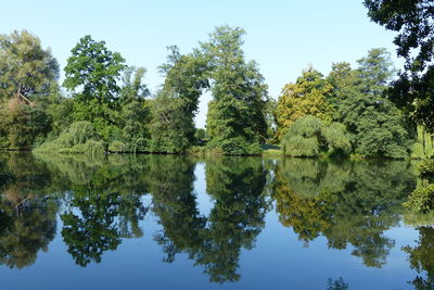 Reflection of trees in lake against clear sky