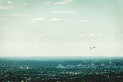 Bird flying over the sky