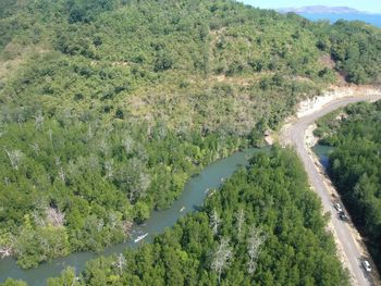 High angle view of road amidst trees