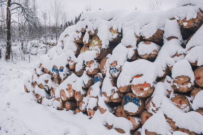 Winter in harz mountains national park, germany. snow covered pile of logs in german forest