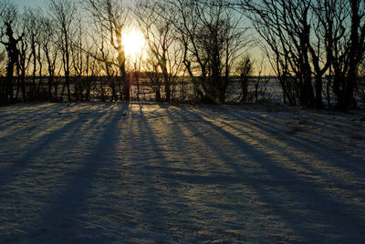 Bare trees on landscape against sky during sunset