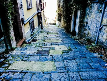 Narrow alley in front of building