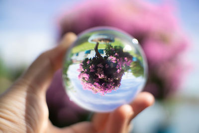 Cropped hand holding crystal ball against blooming flowers