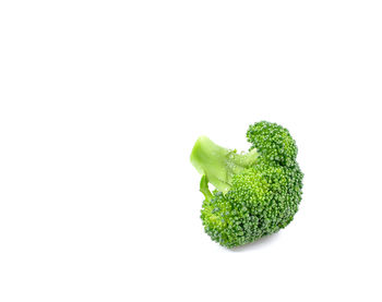 High angle view of tomato against white background