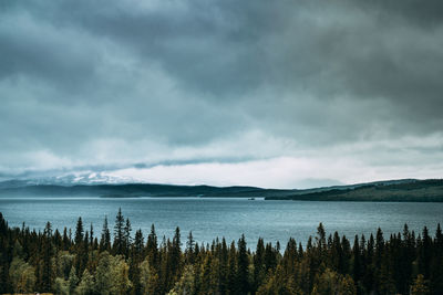 High angle view of lake amidst trees against cloudy sky