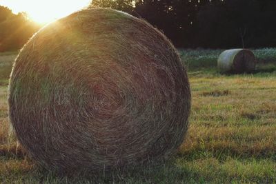 Close-up of hay bales on field