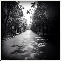 Empty road along trees