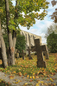 Trees growing in cemetery against sky during autumn