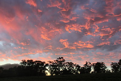 Silhouette trees on field against dramatic sky