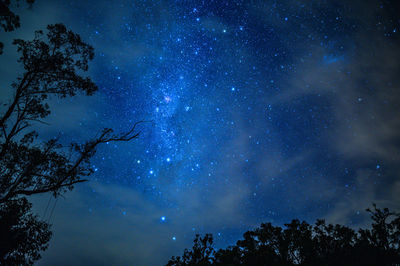 Low angle view of silhouette trees against sky at night