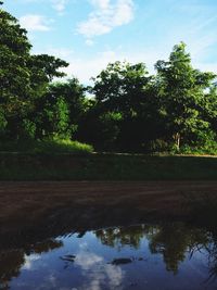 Reflection of trees in lake against sky