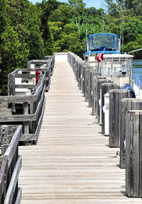 Row of shopping cart against trees