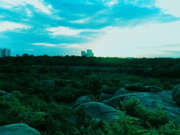 Scenic view of landscape against blue sky