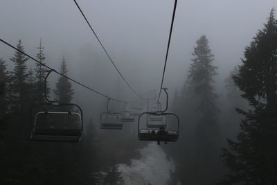 Ski lift amidst trees during winter