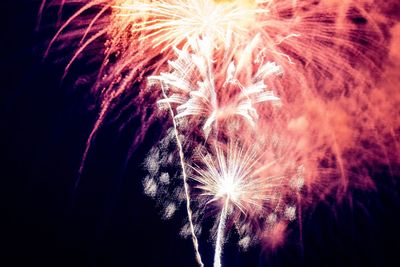 Low angle view of firework display at night