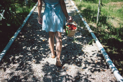 Woman carrying strawberries in basket on footpath