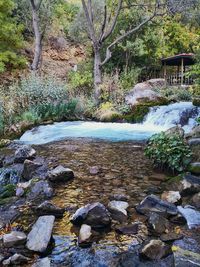 Stream flowing through rocks in forest