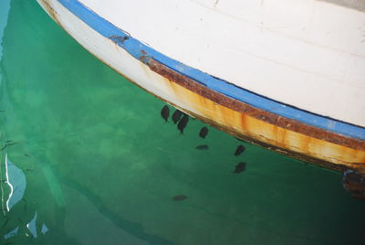 High angle view of swimming pool in sea