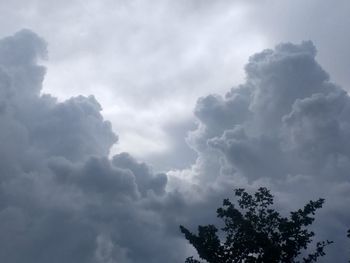 Low angle view of tree against cloudy sky