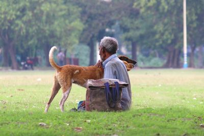 Side view of man embracing to dogs on grass