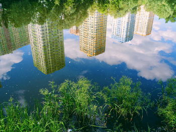 Digital composite image of trees and buildings against sky