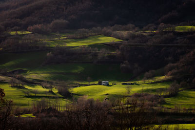 Scenic view of landscape