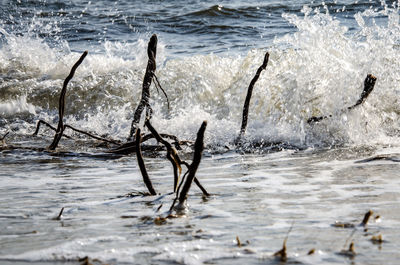 Scenic view of sea waves splashing on shore