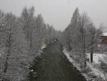 View of bare trees on snow covered landscape