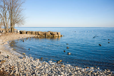 Scenic view of sea against clear sky