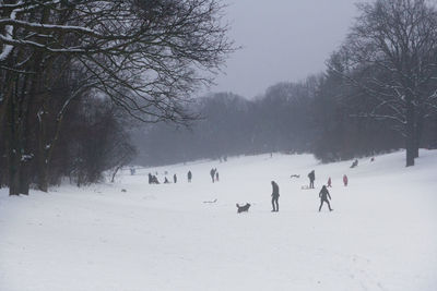 Bare trees on snow covered landscape