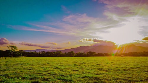 Scenic view of field against sky during sunset