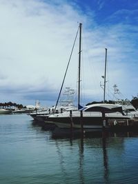 Sailboats moored at harbor against sky