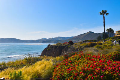 Scenic view of sea against clear blue sky