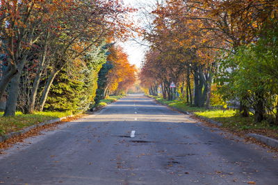 Road amidst trees during autumn