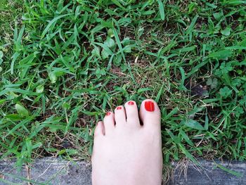 Low section of woman on grass