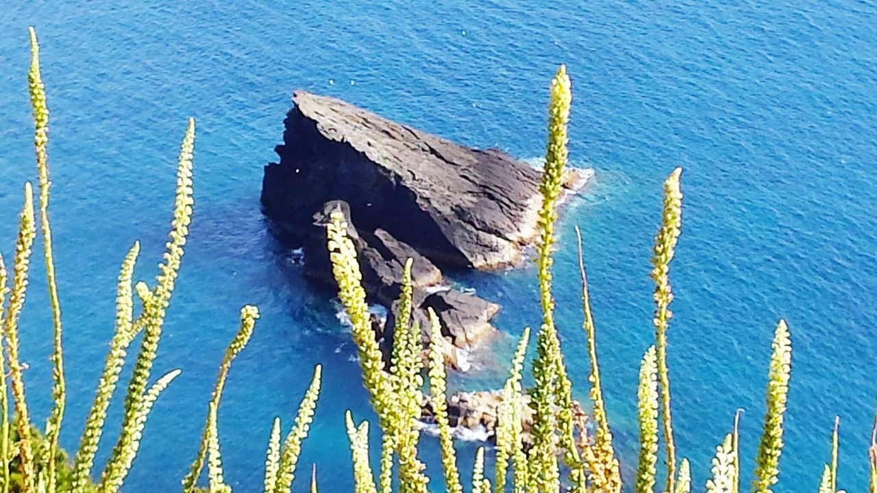 Miradouro da Ponta do Carapacho