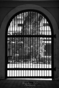 Building seen through window