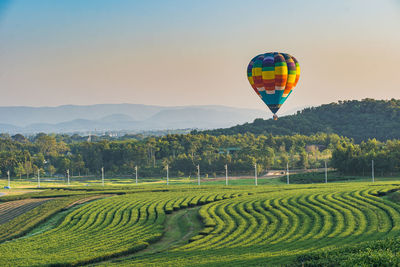 View of hot air balloons on field against sky