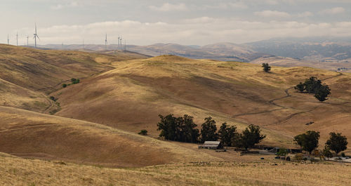 Dry rolling terrain, old ranch area with wind turbines on the hilltops.